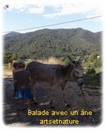 balade avec un ane en cevennes